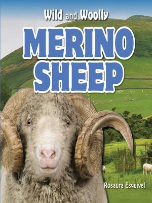 cover image of Merino Sheep